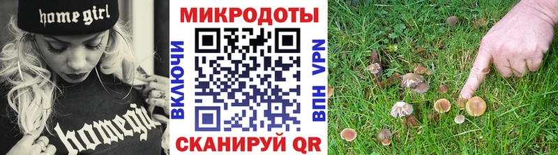 кракен зеркало  Чудово  Галлюциногенные грибы Magic Shrooms 